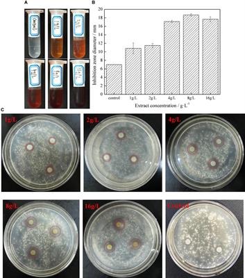 Anti-fungal Activity of Dalbergia retusa Extract on Gloeophyllum trabeum